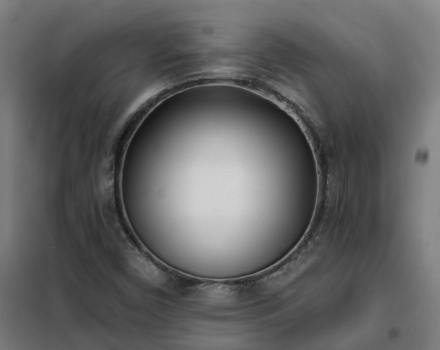 X0000102021450200807251321