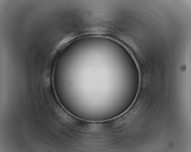 X0000102021451200807251321