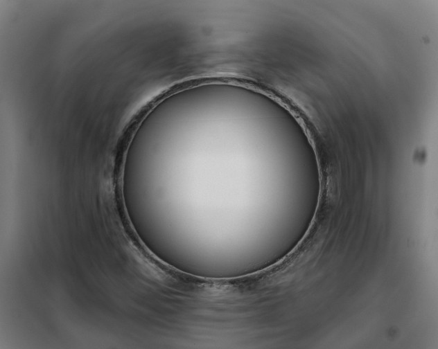 X0000102021452200807251321