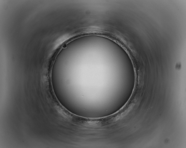 X0000102021453200807251321