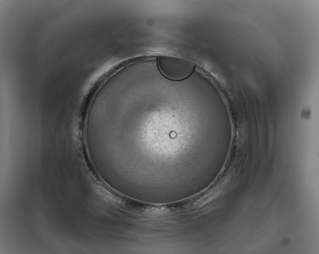 X0000102021454200807251320