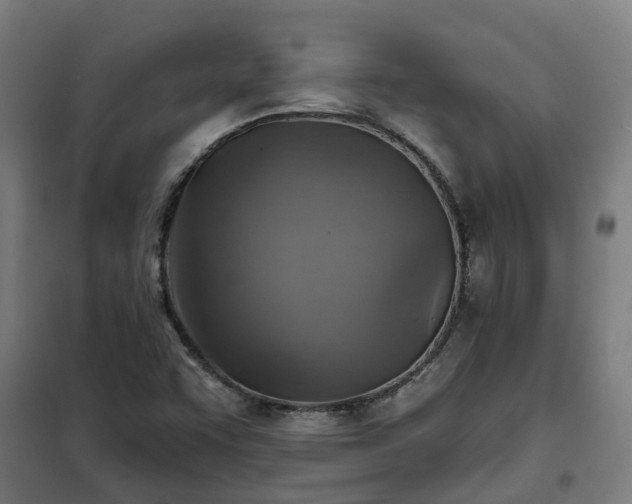 X0000102021455200807251320