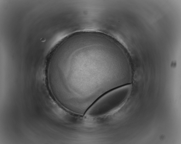 X0000102021456200807251320