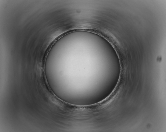 X0000102021457200807251320