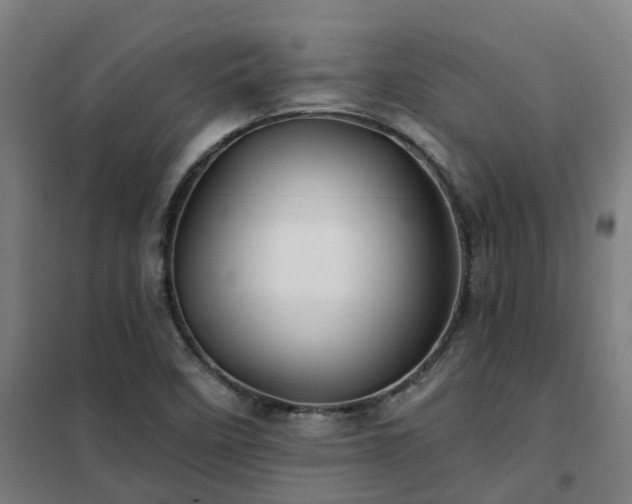 X0000102021458200807251320