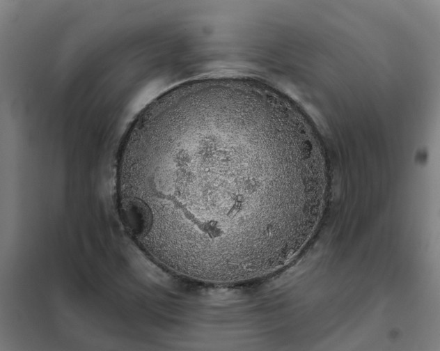 X0000102021459200807251320