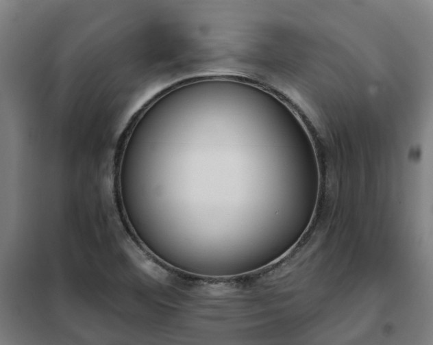 X0000102021460200807251320