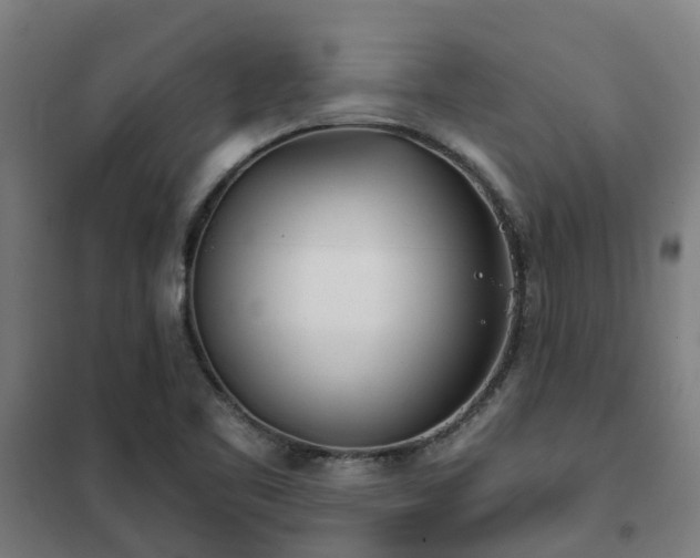 X0000102021461200807251320