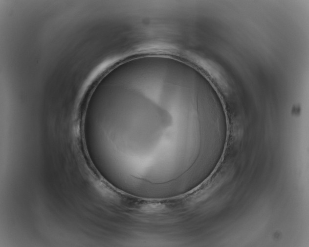 X0000102021462200807251320
