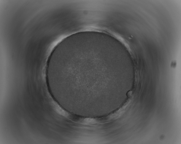 X0000102021463200807251320
