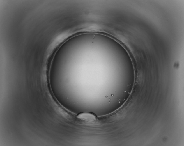 X0000102021464200807251320