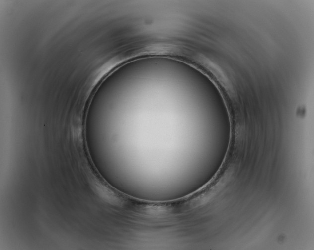 X0000102021465200807251320