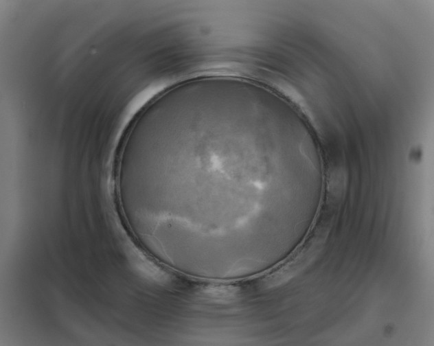 X0000102021466200807251320