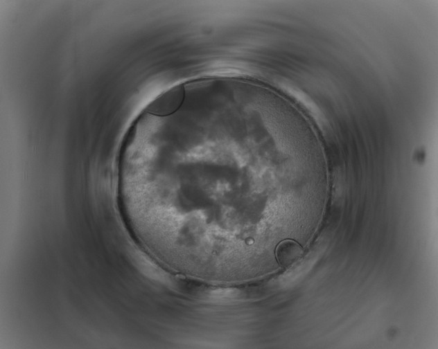 X0000102021467200807251320