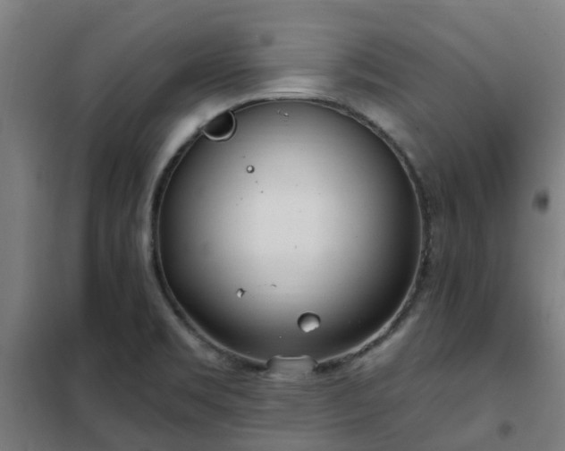 X0000102021469200807251320