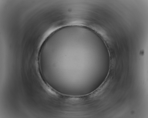 X0000102021470200807251320