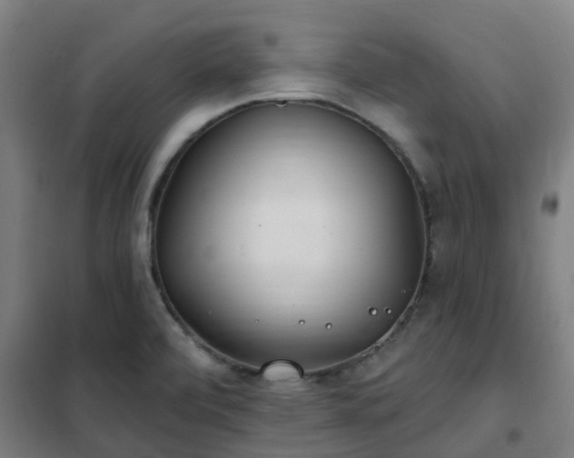 X0000102021472200807251320