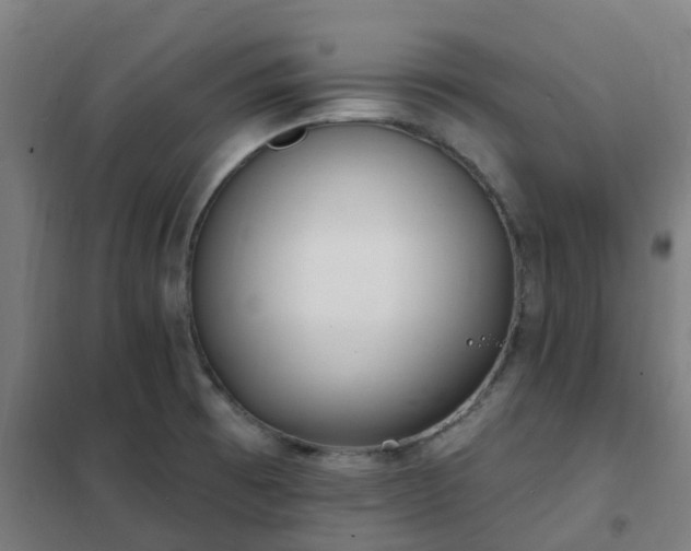 X0000102021473200807251320