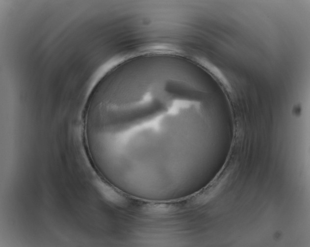 X0000102021474200807251320