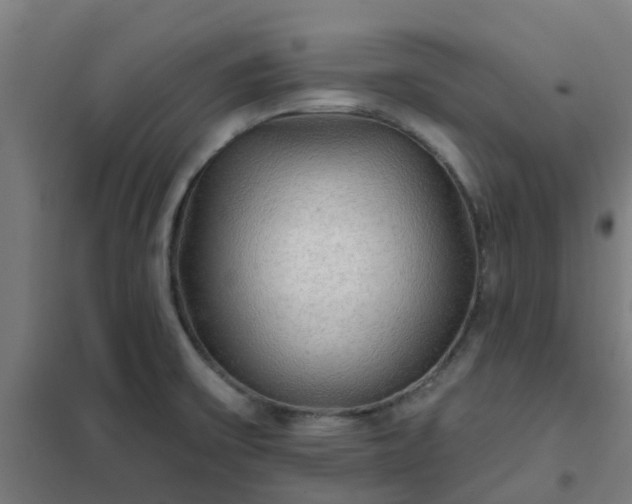X0000102021475200807251320