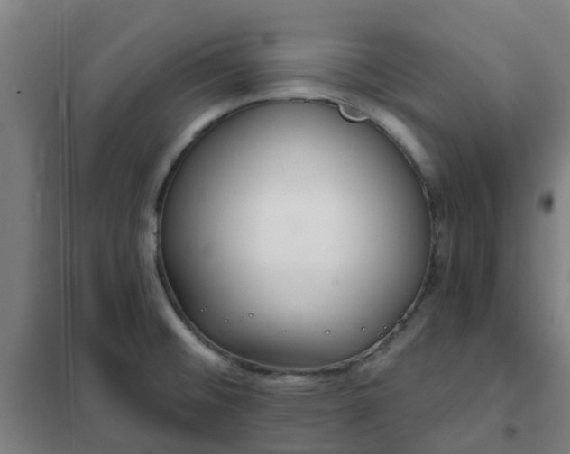 X0000102021476200807251320
