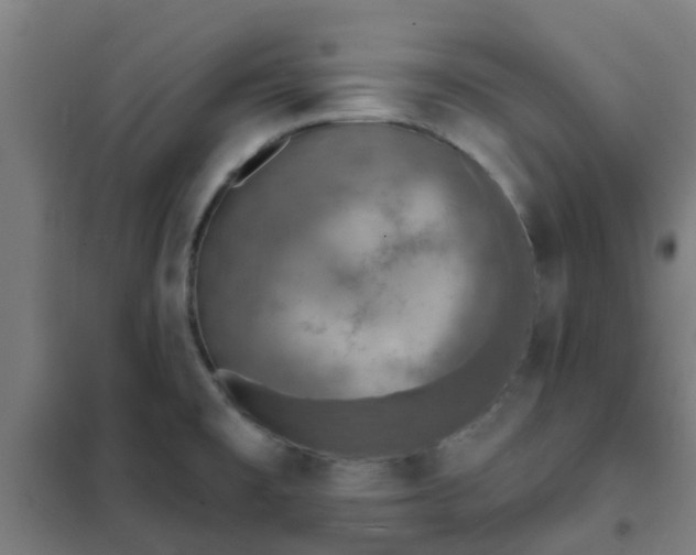 X0000102021477200807251320