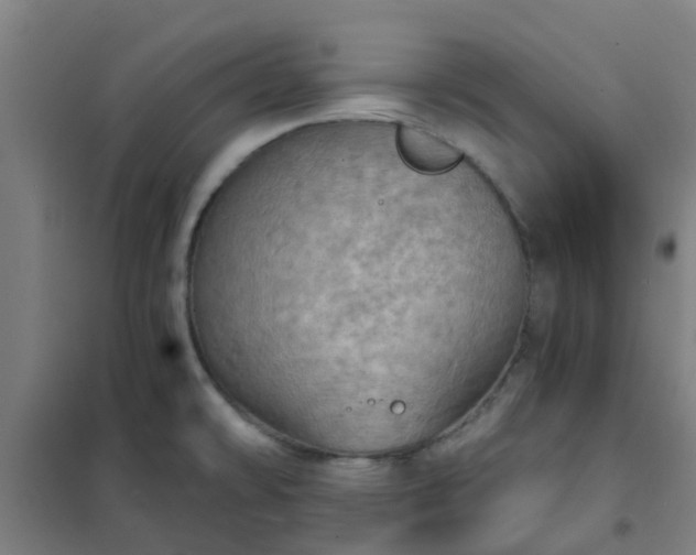 X0000102021478200807251320