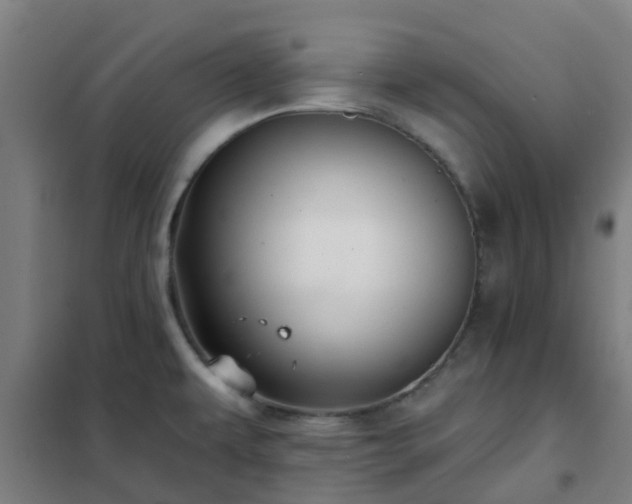 X0000102021479200807251320