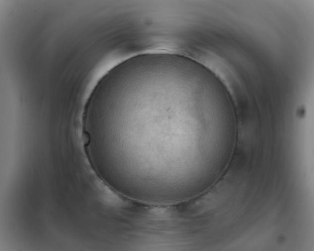 X0000102021480200807251320