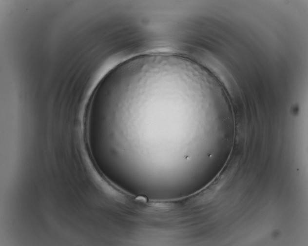 X0000102021483200807251320