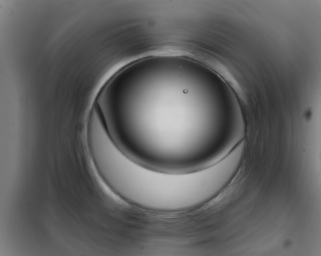 X0000102021484200807251320