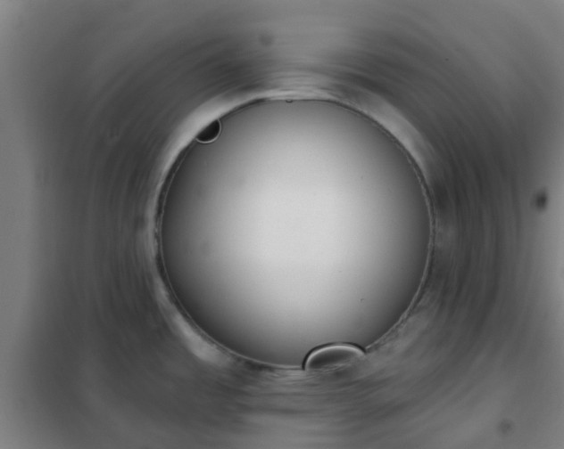 X0000102021485200807251320