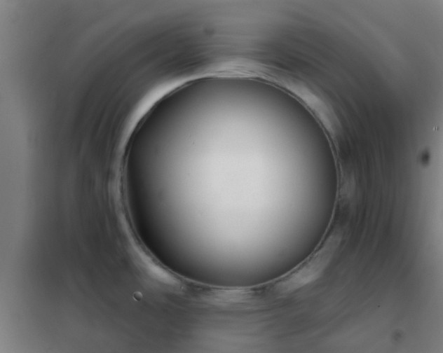 X0000102021486200807251320