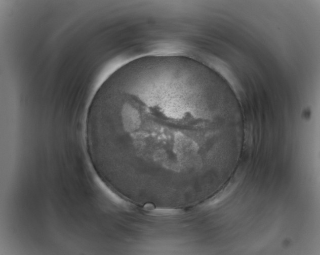 X0000102021487200807251320