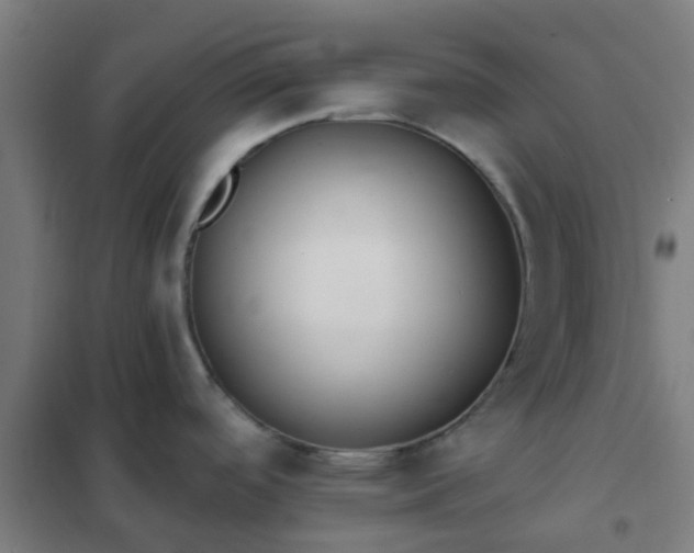 X0000102021488200807251320
