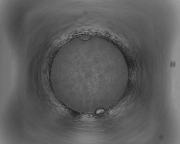 X0000102021489200807251319
