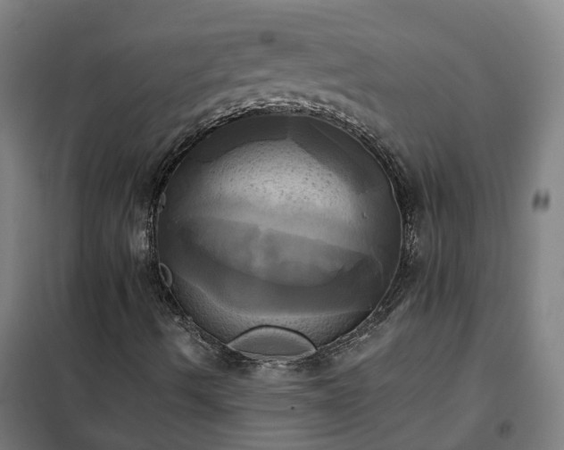 X0000102021490200807251319