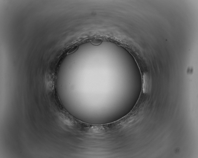 X0000102021491200807251319