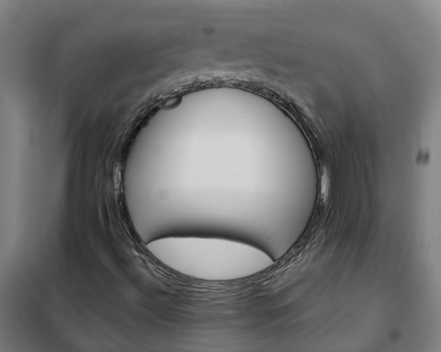 X0000102021492200807251319