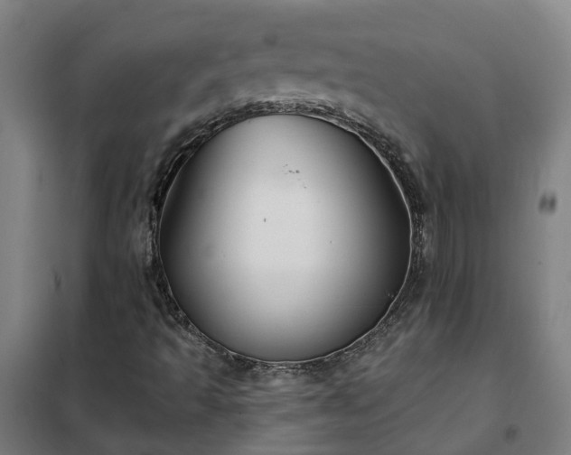 X0000102021493200807251319
