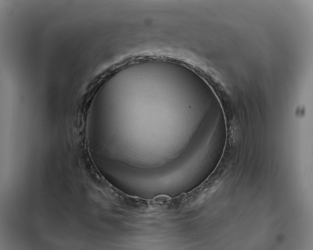 X0000102021494200807251319