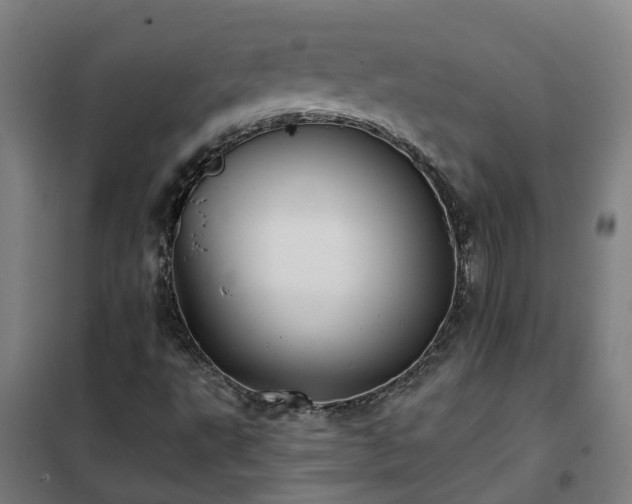 X0000102021495200807251319