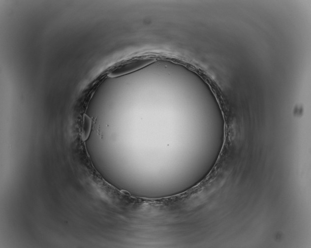 X0000102021496200807251319
