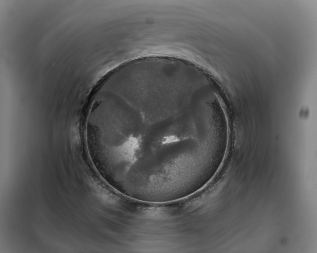 X0000102021497200807251319