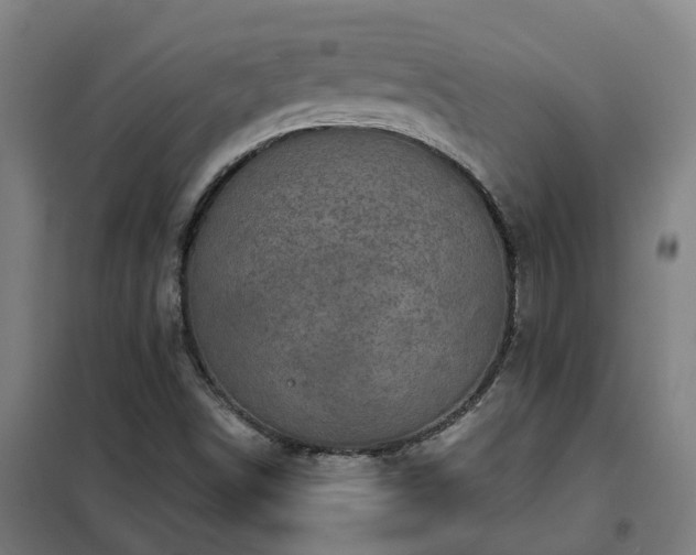 X0000102021498200807251319