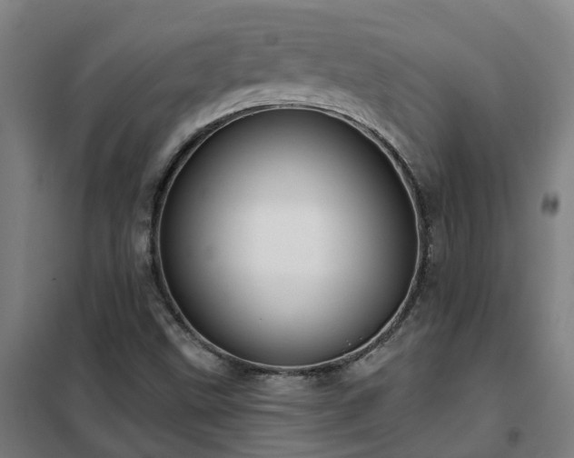 X0000102021499200807251319