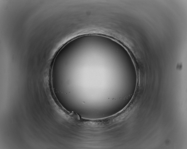 X0000102021500200807251319