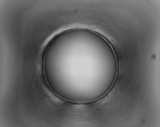 X0000102021502200807251319