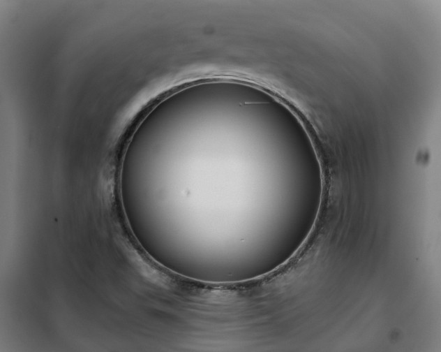 X0000102021503200807251319