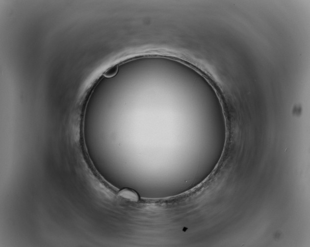 X0000102021504200807251319